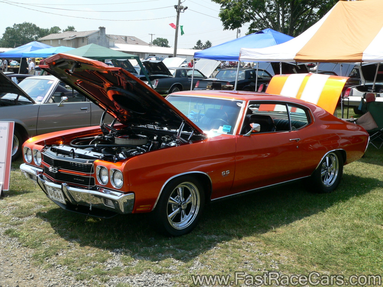 Muscle Cars > Chevelle > Picture of CHEVELLE